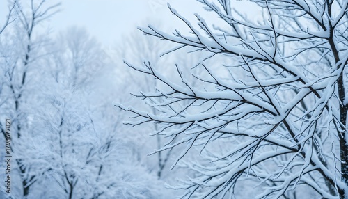 Close-up of snow-covered tree branches with a blurred background of other snow-laden trees on a cold winter day.