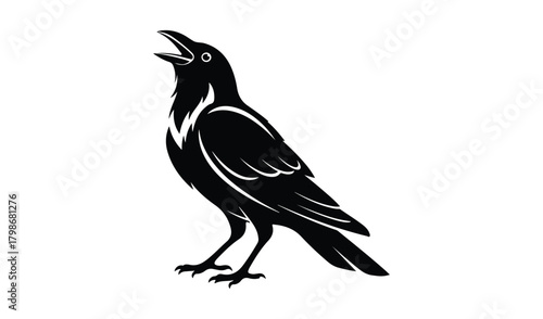 Black silhouette of a crow or raven calling out with open beak