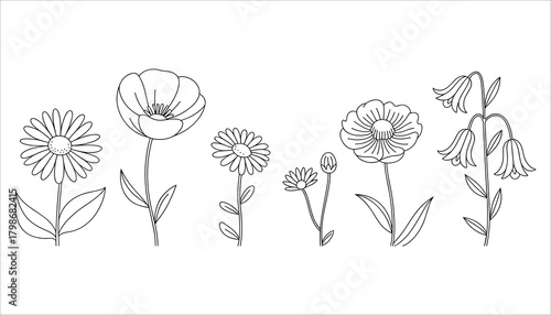 Black and white line art illustrations of various blooming flowers and a bud on white background floral