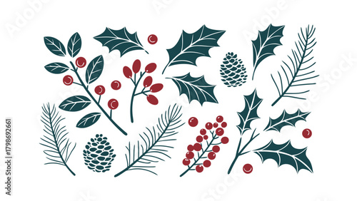 Christmas Botanical Elements Holly Pine Cones Berries Vector Collection branch berry