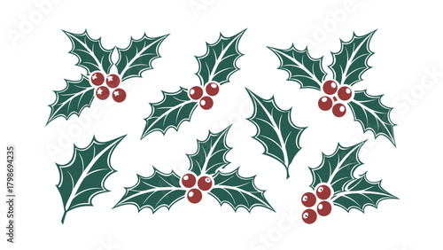 Collection of Vintage Christmas Holly Sprigs with Red Berries and Leaves berry leaf