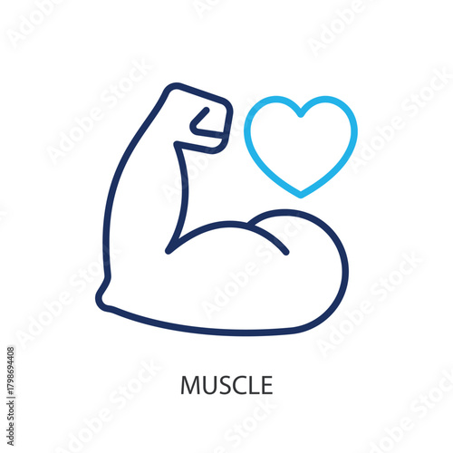 Muscle thin line icons. Original vector illustration.