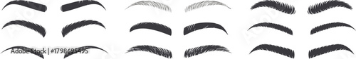 Collection of eyebrow shapes and styles in various textures, thick and thin designs, realistic hair patterns, and cosmetic vector illustrations for beauty, makeup, and salon artwork.