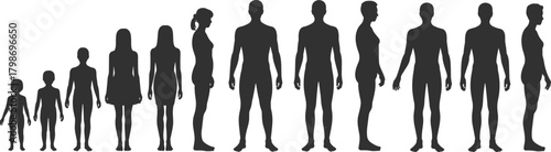 Human growth and development silhouettes showing children to adults in various standing poses, ideal for educational vector graphics, anatomy concepts, and age progression illustrations