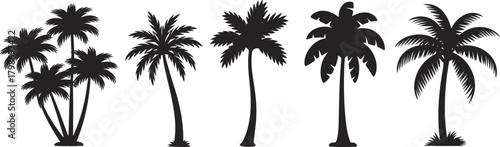 Palm Tree Silhouettes – Tropical Landscape Icons, Botanical Diversity, Frond Shapes, Coastal Flora, Island Vibes, Nature Illustration, Exotic Tree Vector Set