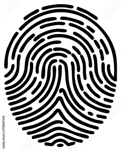 Black and white vector graphic depicting a human fingerprint isolated on a white backdrop for secure identification and personal access systems