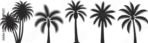 Silhouetted palm trees in various tropical shapes and styles, representing beach scenery, exotic landscapes, summer nature elements, and decorative botanical vector illustrations for design projects.