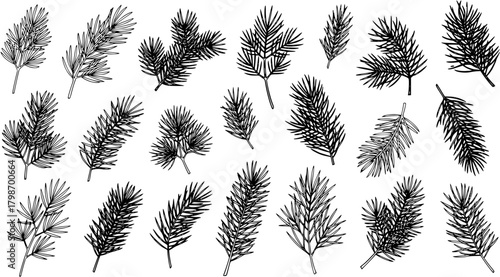 Detailed Hand-Drawn Pine Branches Collection, Christmas, Winter, and Botanical Sketch Illustrations - Isolated Evergreen Twigs Set