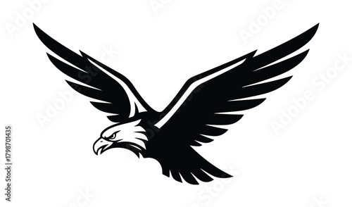 Stylized black silhouette of a fierce eagle in flight