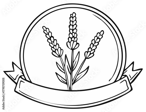 Hand drawn botanical lavender sprigs in a circular emblem frame with decorative ribbon banner