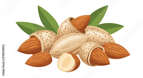 A detailed illustration of a cluster of almonds, showing shelled, cracked open, and in-shell nuts with green leaves on a white background.