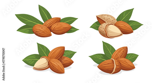 Various arrangements of fresh almonds, both shelled and in-shell, with vibrant green leaves, showcasing their natural beauty and healthy appeal.