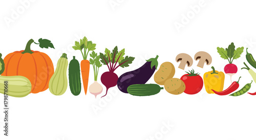 Colorful horizontal border with an assortment of fresh, healthy vegetables like pumpkin, carrots, eggplants, and tomatoes, against a clean white background.