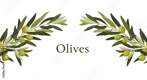 Two olive branches with green olives frame the word 'Olives' on a white background, suggesting a natural and healthy theme.