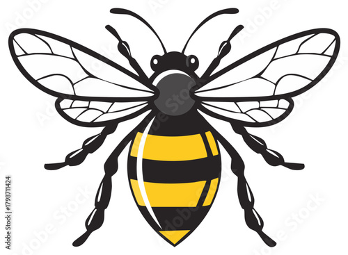 Honeybee Illustration Vector Graphics Black and Yellow Insect Wings Antennae Pollinator