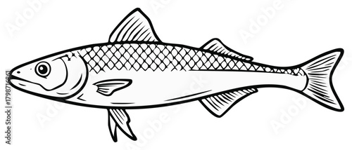 Black and white line art fish with detailed scales fins and tail a sleek aquatic creature