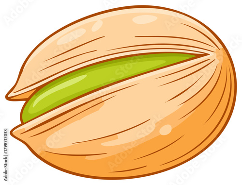 Illustration of a single pistachio nut with open shell exposing green nut meat