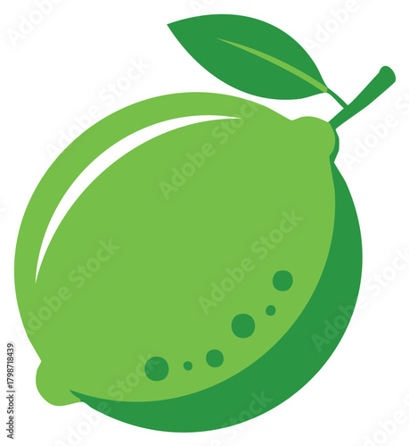 Vibrant Green Lime Fruit with Leaf and Stem Accent
