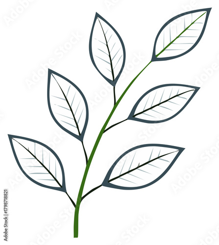 Vector graphic of a plant stem with leaves, simple outline illustration, botanical drawing.