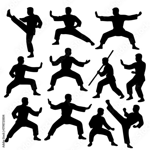 Kung Fu Silhouette Vector Set