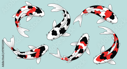 A serene collection of traditional Japanese koi fish with red, black, and white markings swimming gracefully in a light blue pond.