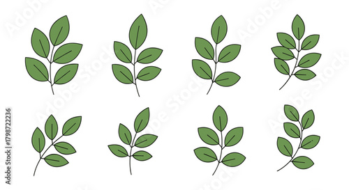 A collection of simple green compound leaf illustrations, depicting various botanical arrangements on a white background.