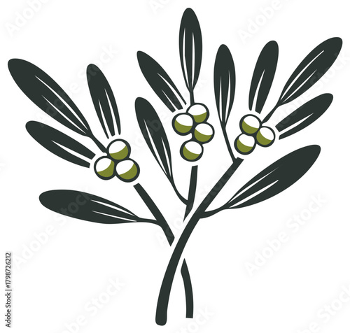 Stylized Olive Branch with Green Fruit - Vector Graphic for Mediterranean Design and Symbolism, Simple Silhouette
