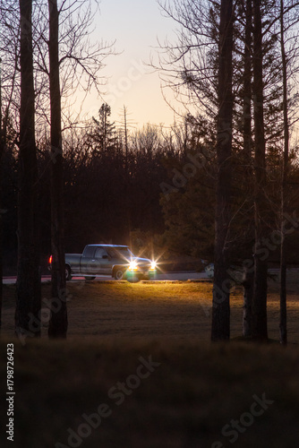 Night Drive through the Forest