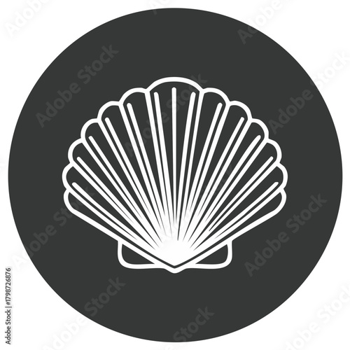 Simple Seashell Icon Graphic Seashells Marine Shell Vector Line Art Outlined Shells Beach