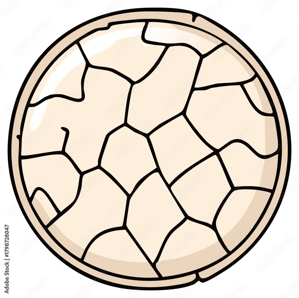 Obraz premium Cracked earth pattern in a circle abstract texture design