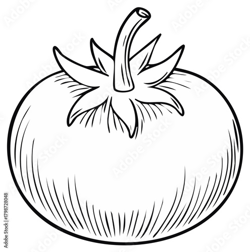 Detailed line drawing of a fresh tomato with stem and sepal for use in coloring pages or educational materials.