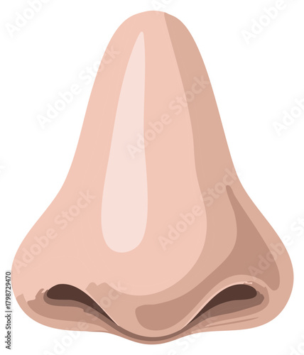Close up of a simplified human nose with shading indicating form and shape