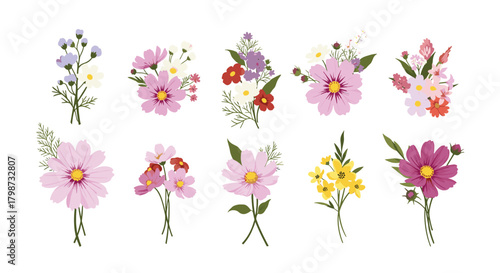 A vibrant collection of various hand-drawn floral bouquets, including cosmos and wild blossoms, isolated on a clean white background.