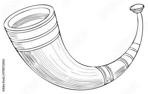 Detailed hand drawn illustration of a horn. Vector illustration on a white background.
