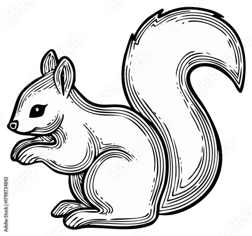 Squirrel Illustration Hand Drawn Engraving Woodcut Style Wildlife Animal Rodent Woodland Fauna