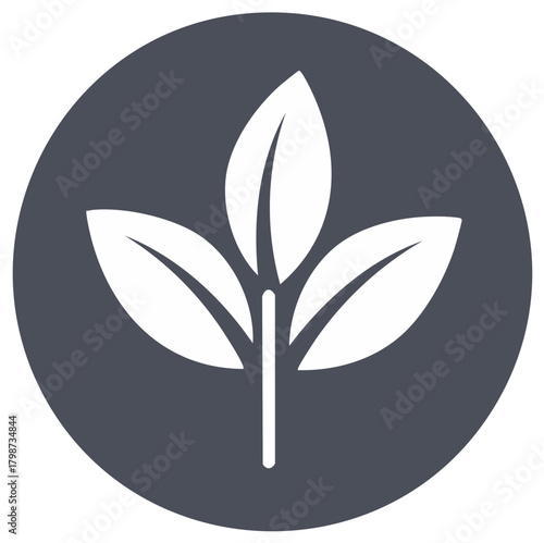 Abstract plant seedling growing in a dark circle graphic icon