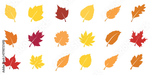 autumn, fall, leaves, leaf, seasonal, nature, foliage, colors, yellow, orange, red, brown, maple, oak, tree, plant, collection, set, graphic, icon, symbol, design, element, isolated, white background,