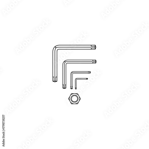 Illustration showing a set of star keys of different sizes and a nut on a white background view