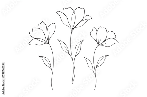 Delicate floral sketch of three simple blooms with slender stems and leaves