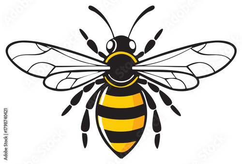 Graphic Cartoon Bee Vector Illustration Striped Insect Design