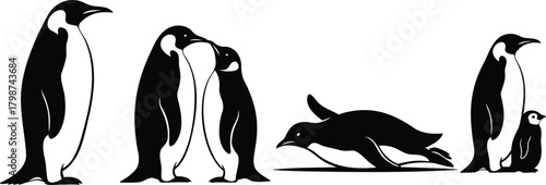 Penguin Silhouette Set Featuring Adult Penguins Caring Sliding and Standing with Chick