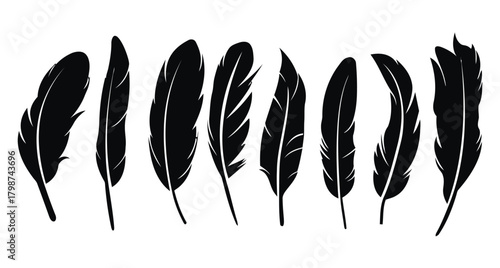 category:, description:, element, illustration, nature, staggered, soft, size, collection, art, (32), line, dynamic, wing, arranged, black, organic, symbol, creative, appearing, graphic, clean, feathe