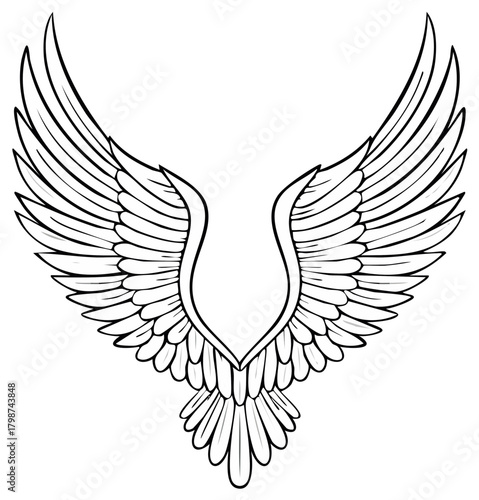 Open winged emblem design with feathered wings outlines spreading upwards with detailed feather rendering and clean edges
