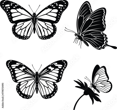Butterfly collection illustration set with detailed wings and flower silhouette