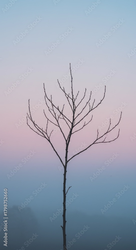 Fototapeta premium Solitary Tree Silhouette Against a Soft Pastel Sky at Dusk.