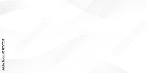 Abstract minimalist white and gray curve modern background. texture white pattern. vector illustration