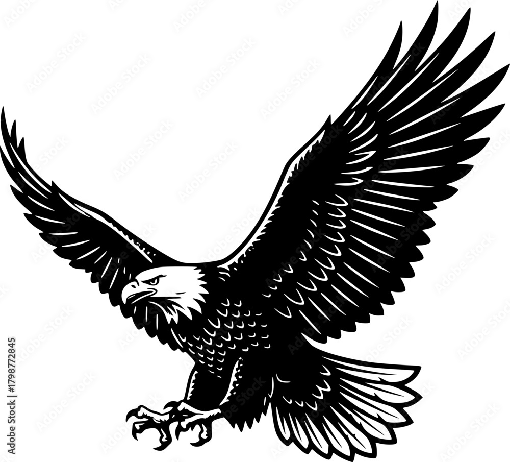 Obraz premium eagle in flight