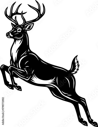 deer vector illustration