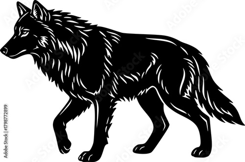 wolf vector illustration