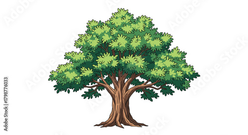 A vibrant cartoon illustration of a healthy deciduous tree with a lush green canopy and a sturdy brown trunk, isolated on a clean white background.